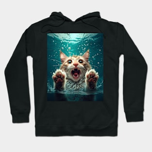 Cat Paws Dance Hoodie